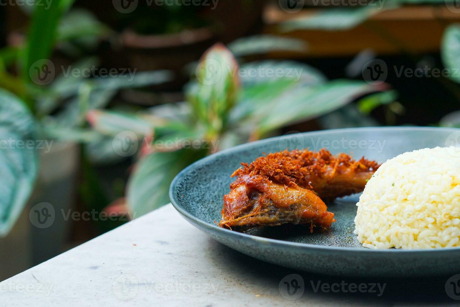 fried chicken with rice and chili photo
