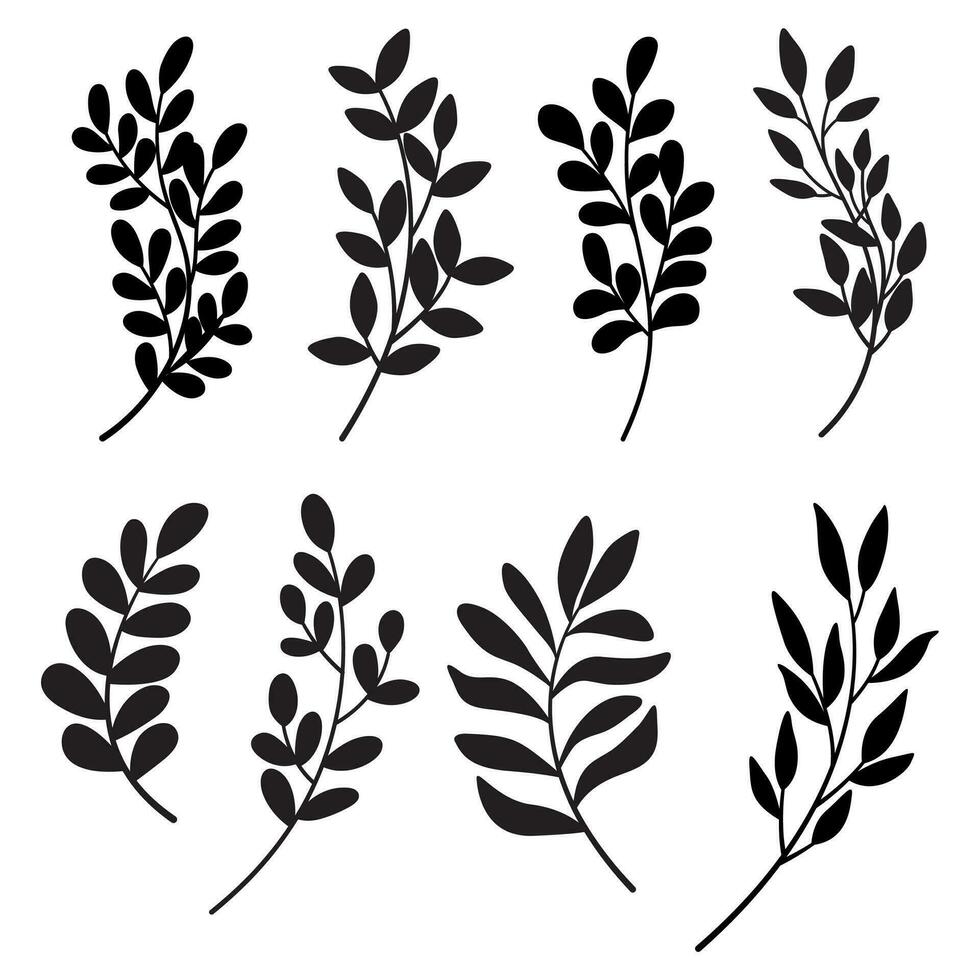 Set of leaves. Hand drawn decorative elements. Vector illustration