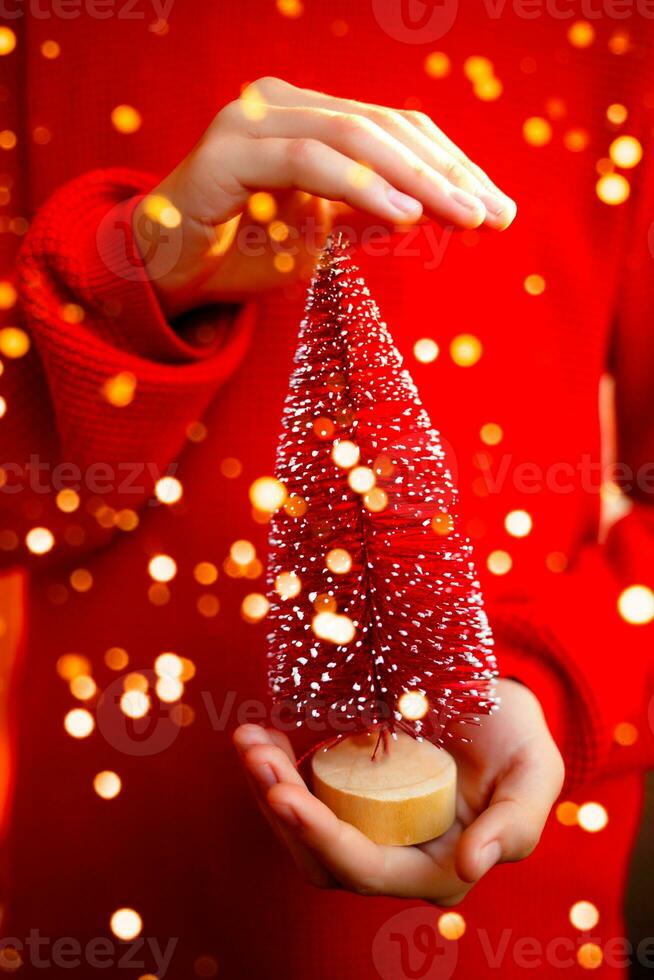 small christmas tree in the hands of a child on a red background photo