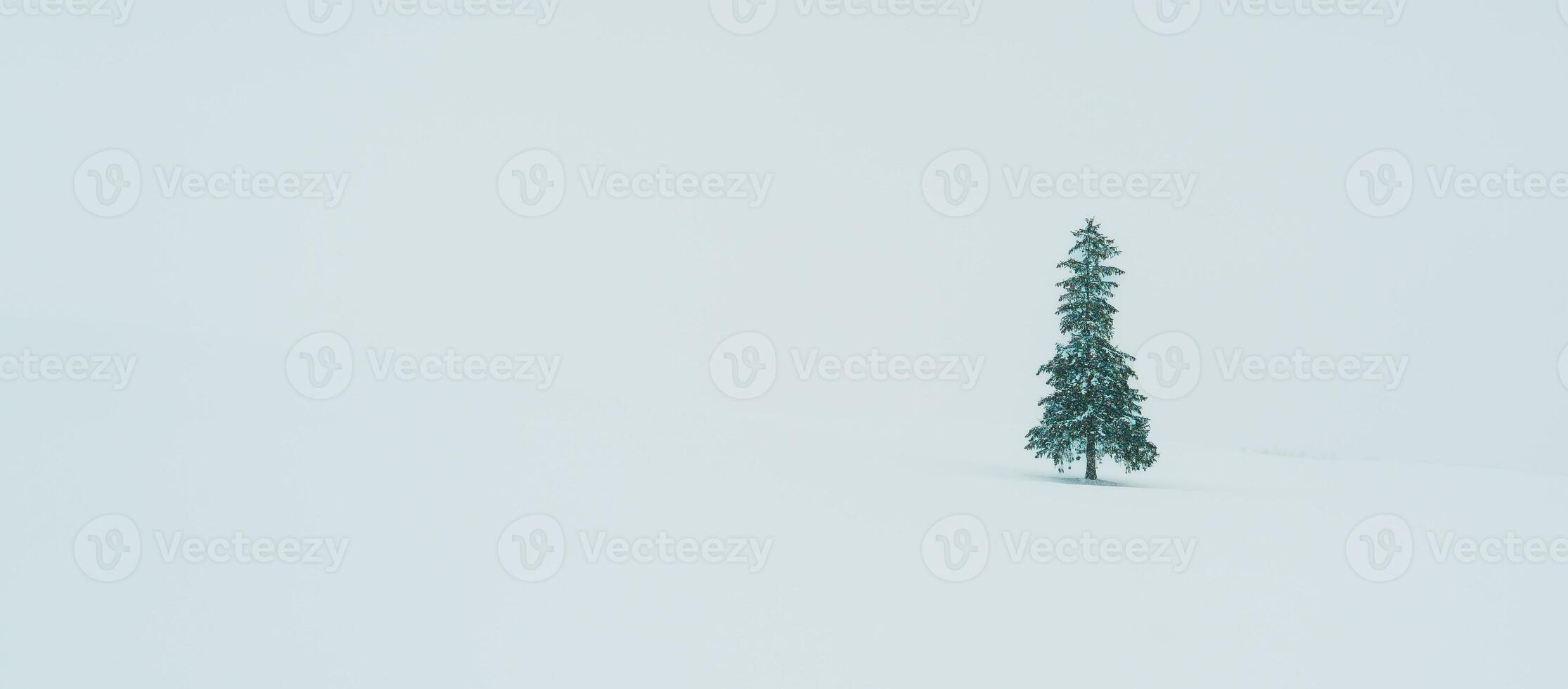 Beautiful Christmas tree with Snow in winter season at Biei Patchwork Road landmark and popular for attractions in Hokkaido, Japan. Travel and Vacation concept photo