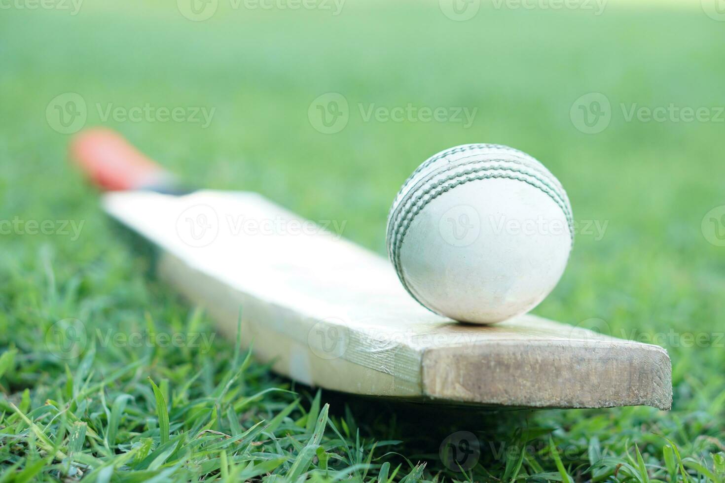 White cricket ball on wooden bat. Concept, sport equipment. Competitive sport. A cricket ball is made with a core of cork, covered by a leather case with a slightly raised sewn seam photo