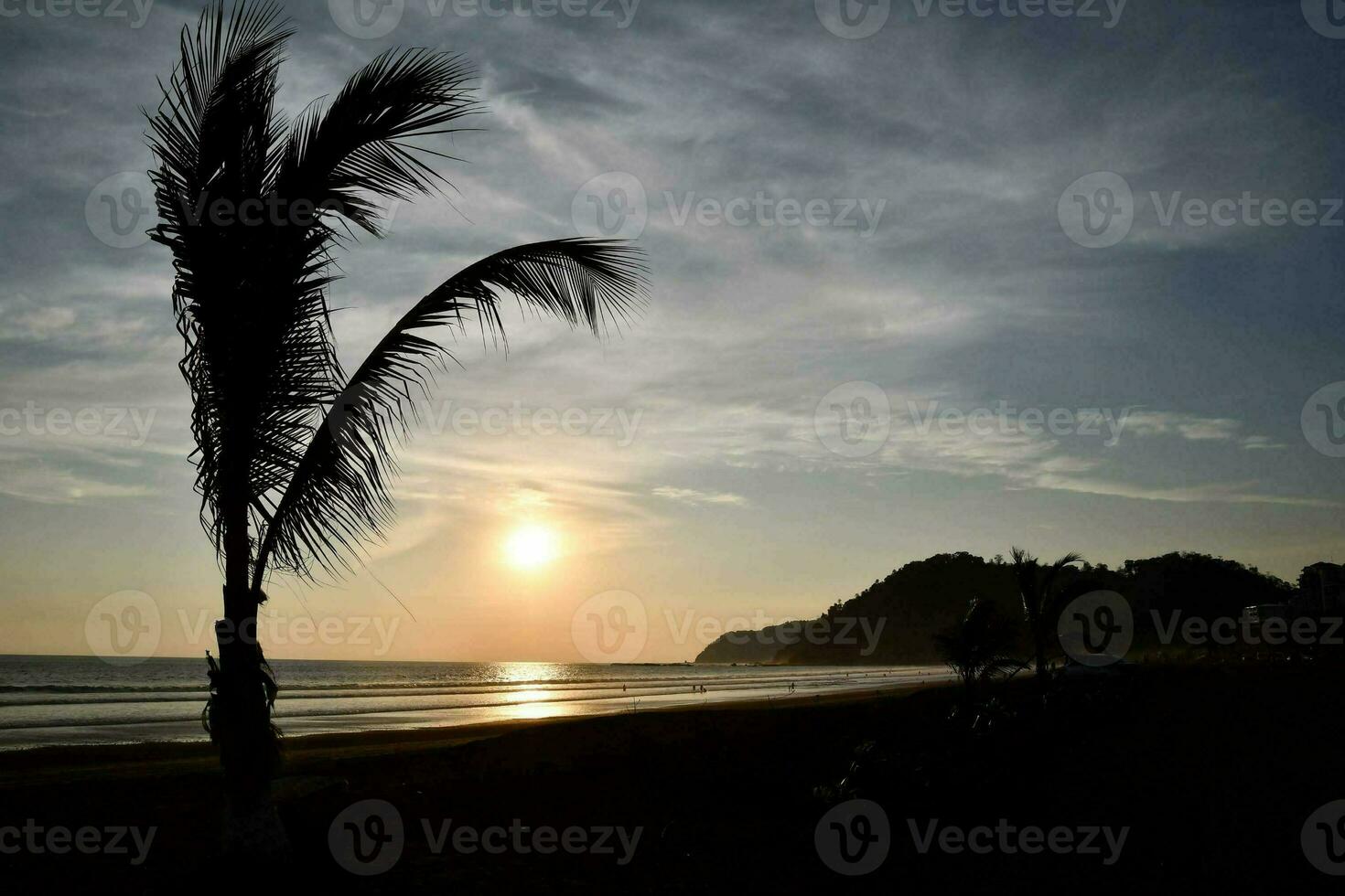 the sun sets behind a palm tree on the beach photo