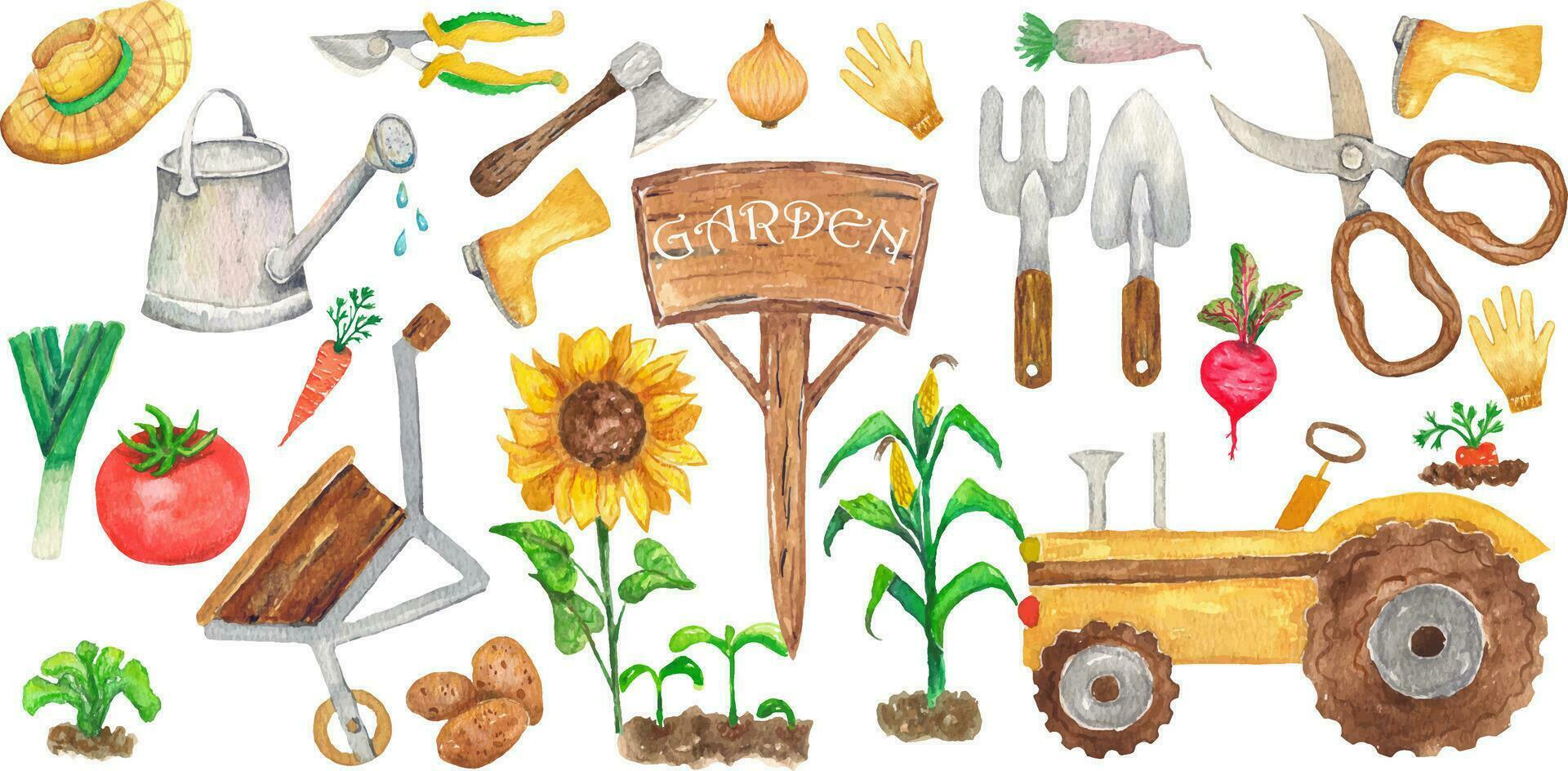 Collection of 26 elements of garden tools and plants. Scissors, hoe, shovel, wheelbarrow, tractor, tomato, seedlings, sunflower, carrot, radish, beet, painted with watercolors. vector