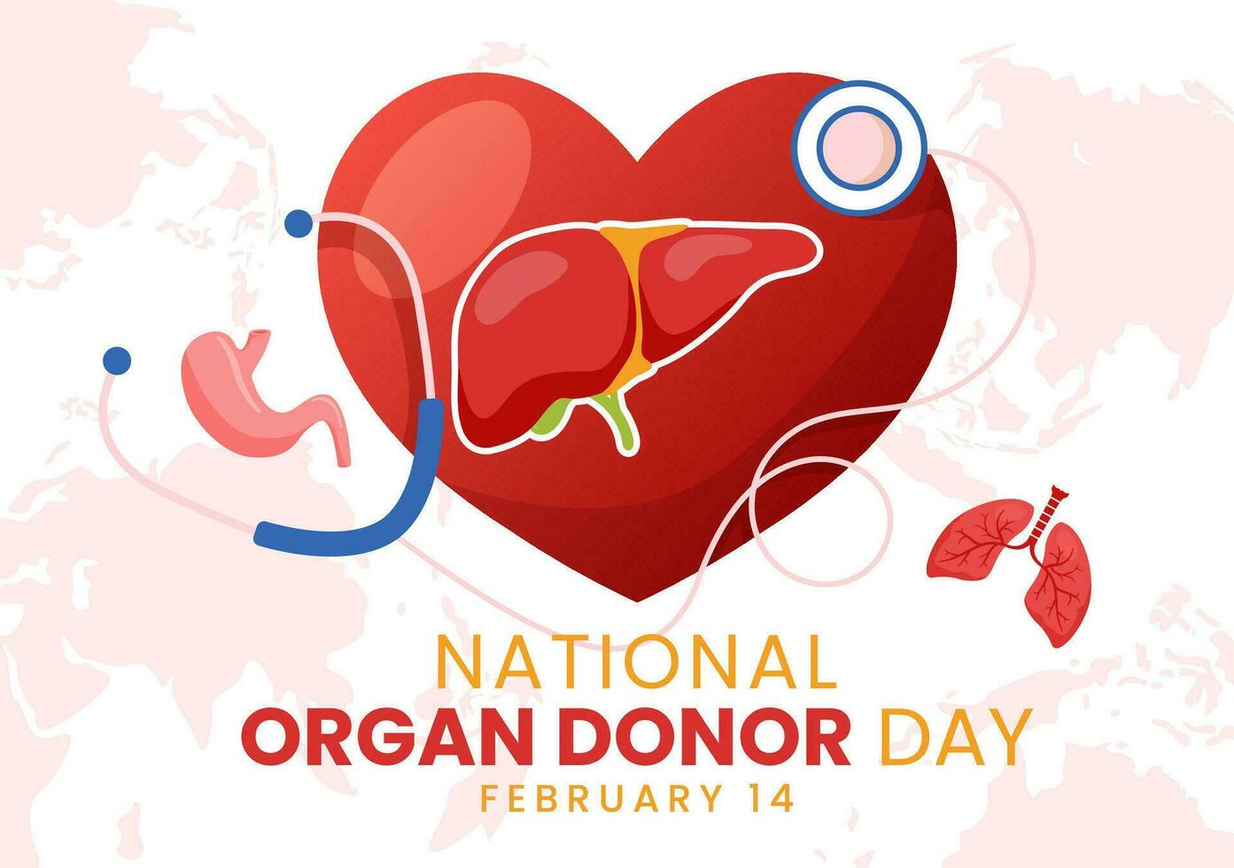 National Organ Donor Day Vector Illustration on 14 February with Kidneys, Heart, Lungs or Liver for Transplantation and Healthcare in Flat Background