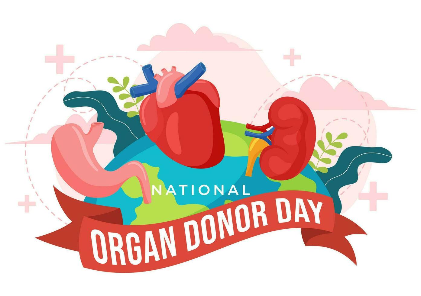 National Organ Donor Day Vector Illustration on 14 February with Kidneys, Heart, Lungs or Liver for Transplantation and Healthcare in Flat Background