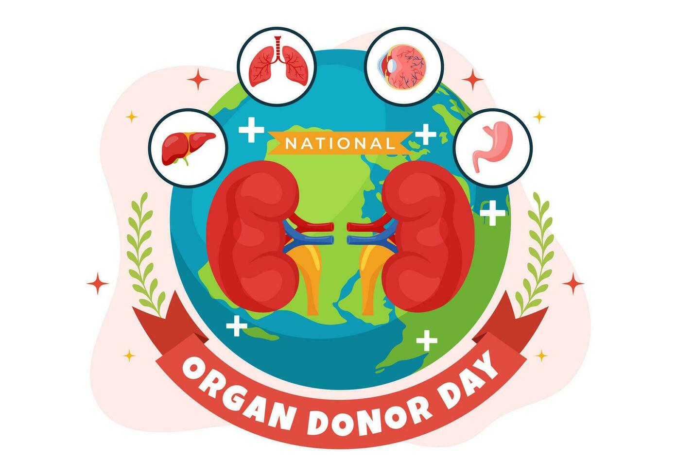 National Organ Donor Day Vector Illustration on 14 February with Kidneys, Heart, Lungs or Liver for Transplantation and Healthcare in Flat Background