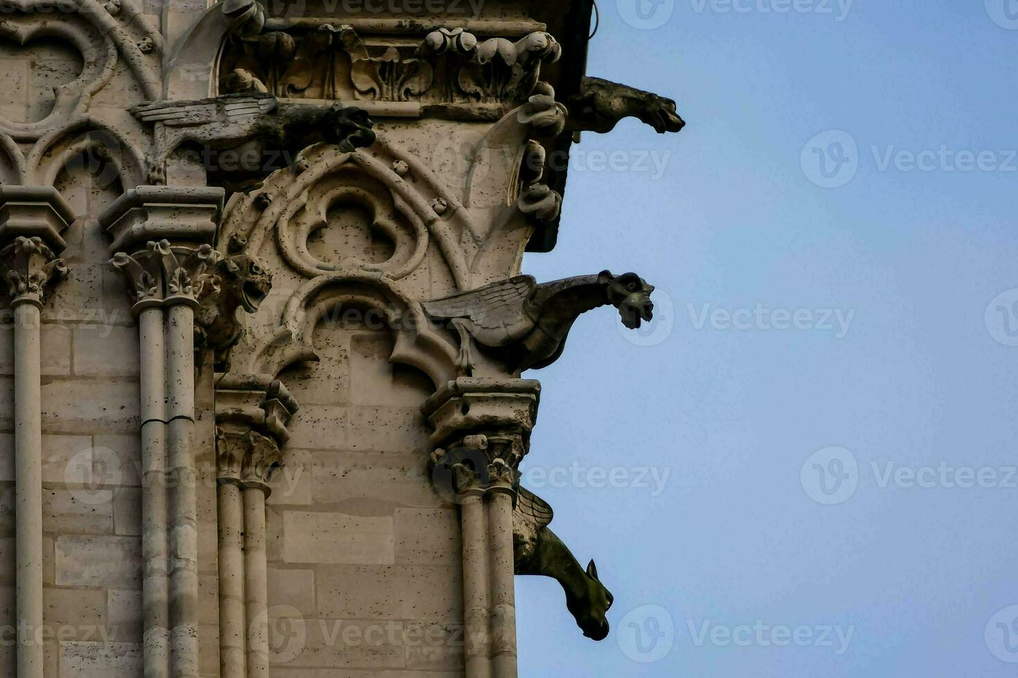 gárgolas en el lado de un edificio foto