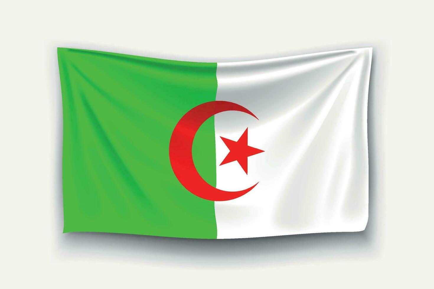 flag of algeria vector
