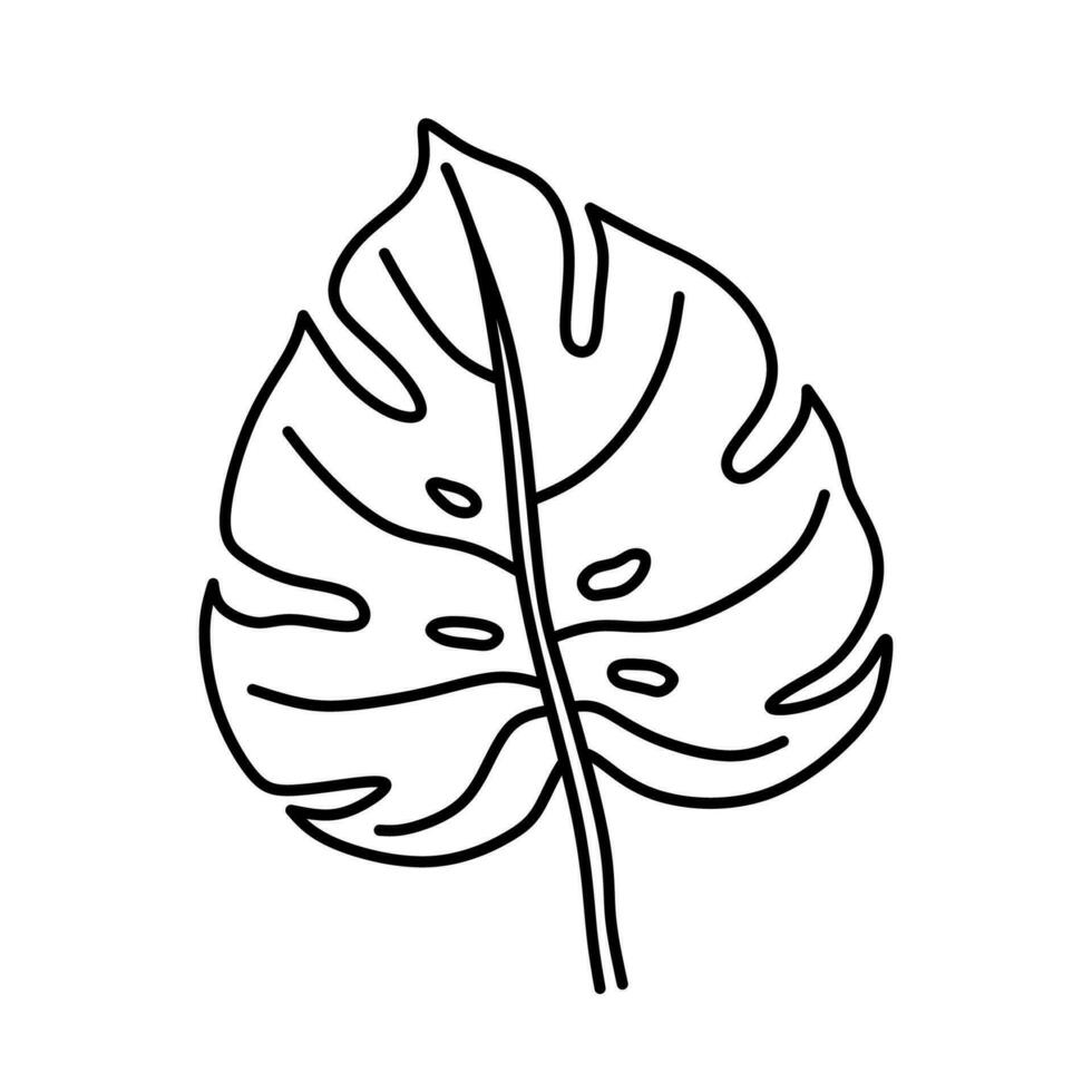 Monstera leaf isolated on a white background. Vector hand-drawn illustration in doodle style. Perfect for logo, cards, decorations, various designs. Botanical clipart.