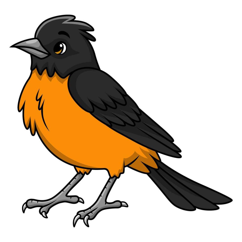 Cute baltimore oriole bird cartoon on white background vector