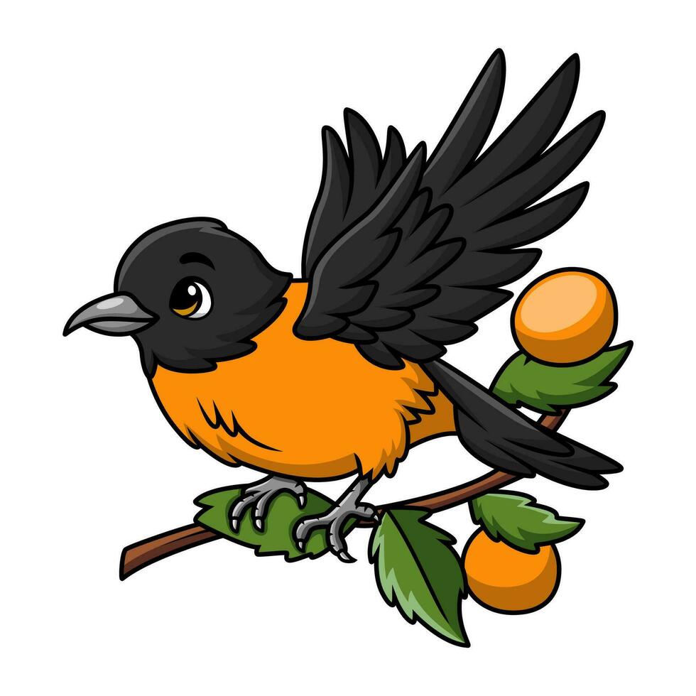 Cute baltimore oriole bird cartoon on white background vector