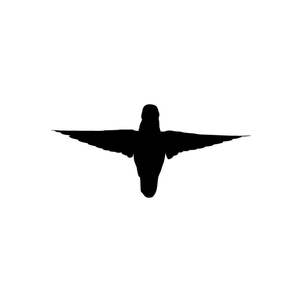 Flying Hummingbird Silhouette, can use Art Illustration, Website, Logo Gram, Pictogram or Graphic Design Element. Vector Illustration