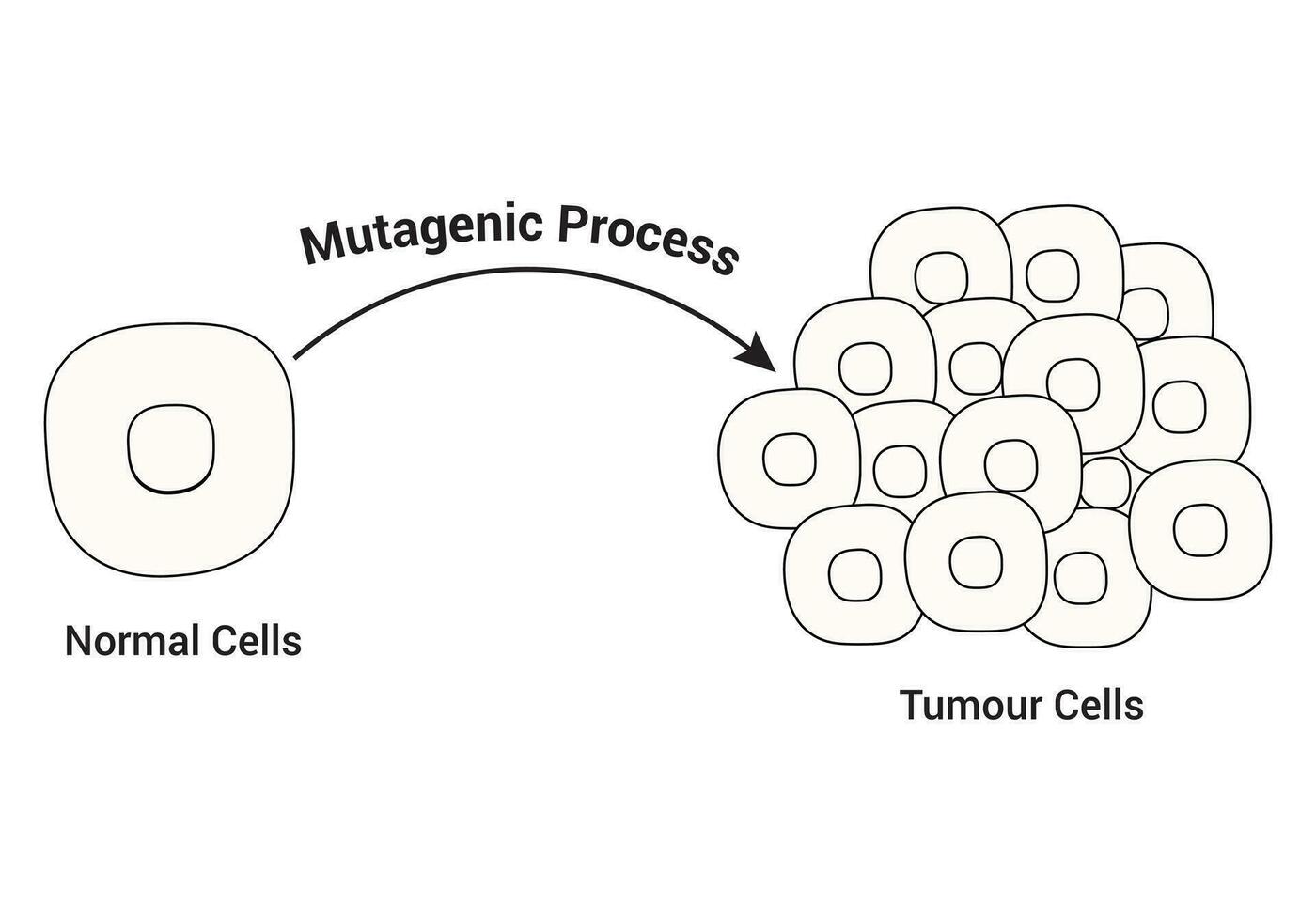 Normal Cells and Tumour Cells Design Science Vector Illustration