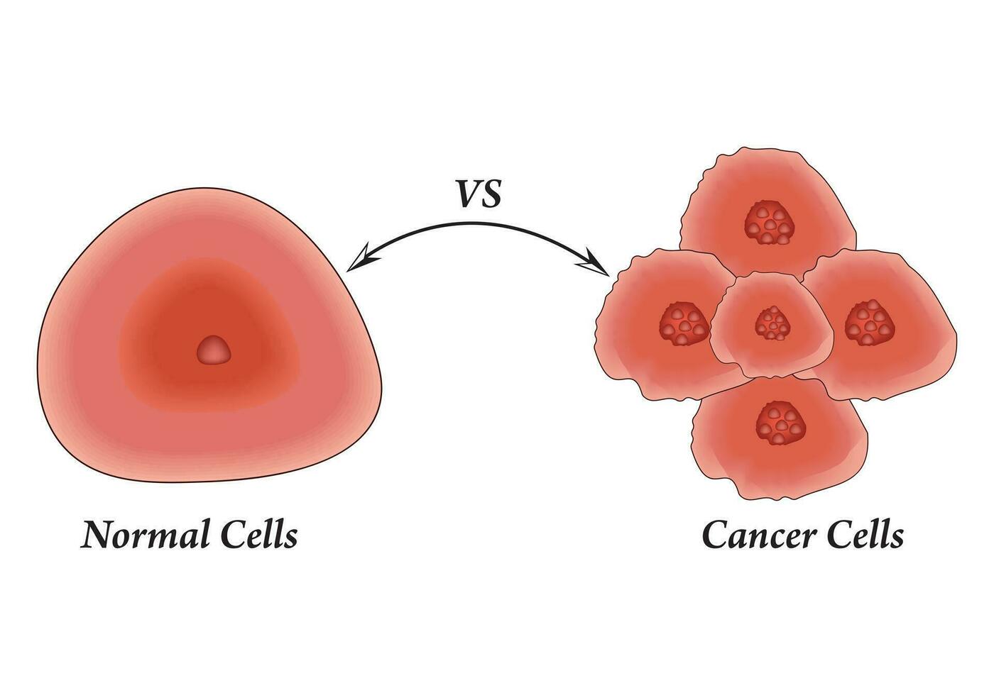 Normal Cells and Cancer Cells Design Science Vector Illustration