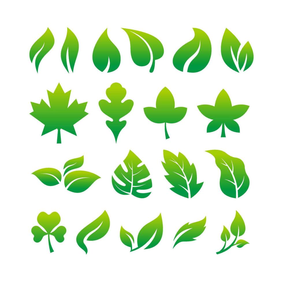 Set of Simple Fresh Green Leaf Icon Illustration Design, Various Leaves Collection Template Vector