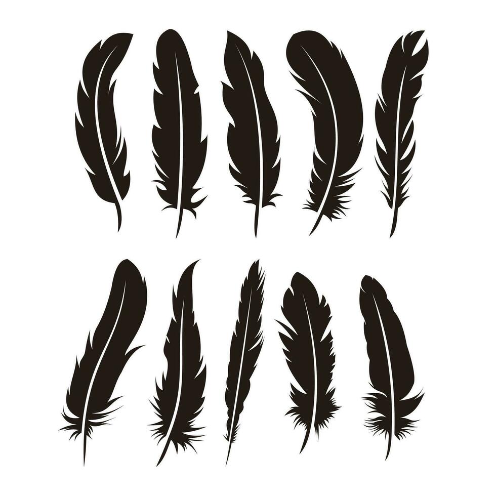 Set of Various Feather Illustration Design, Black Feather Silhouette Template Vector