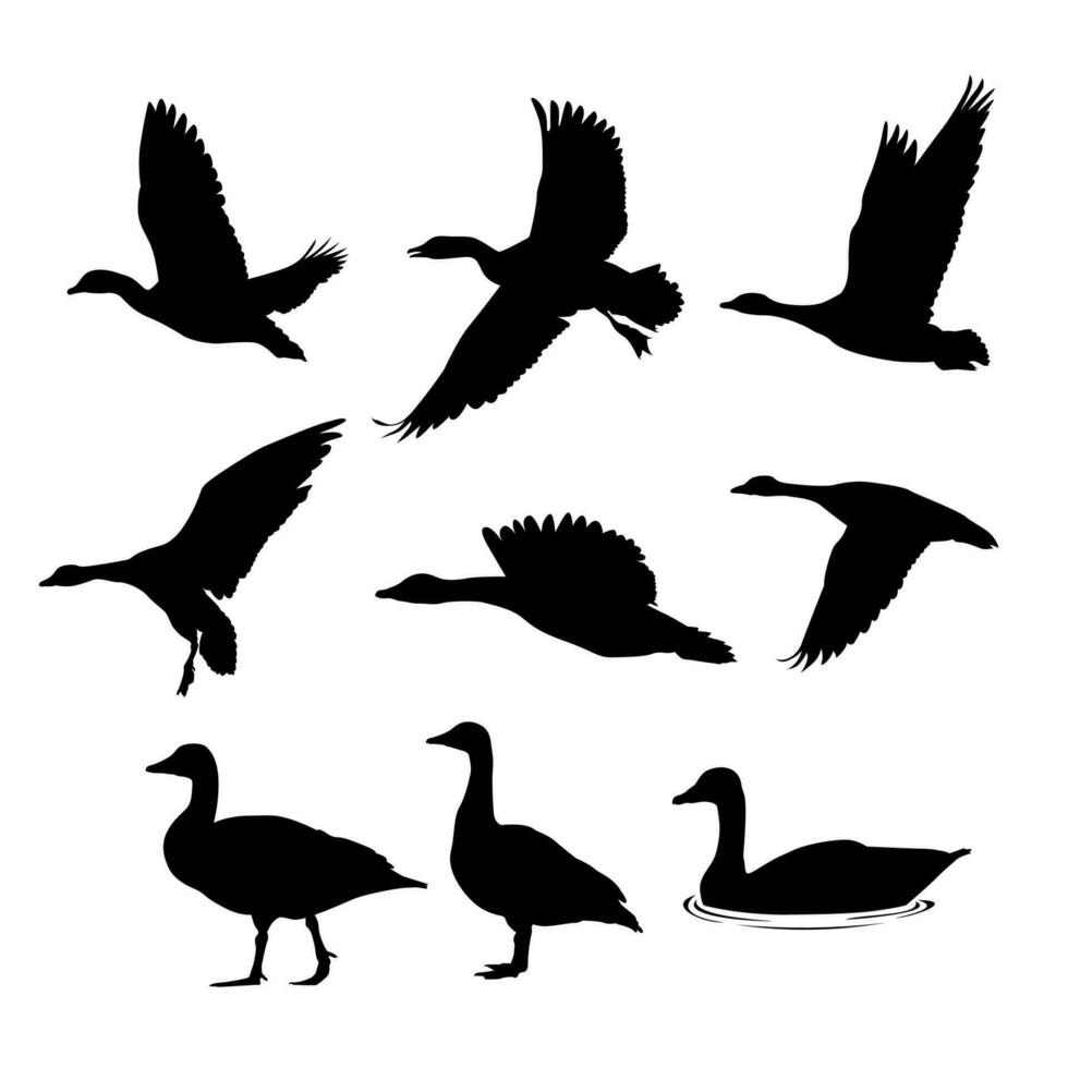 various flying goose silhouette illustration vector