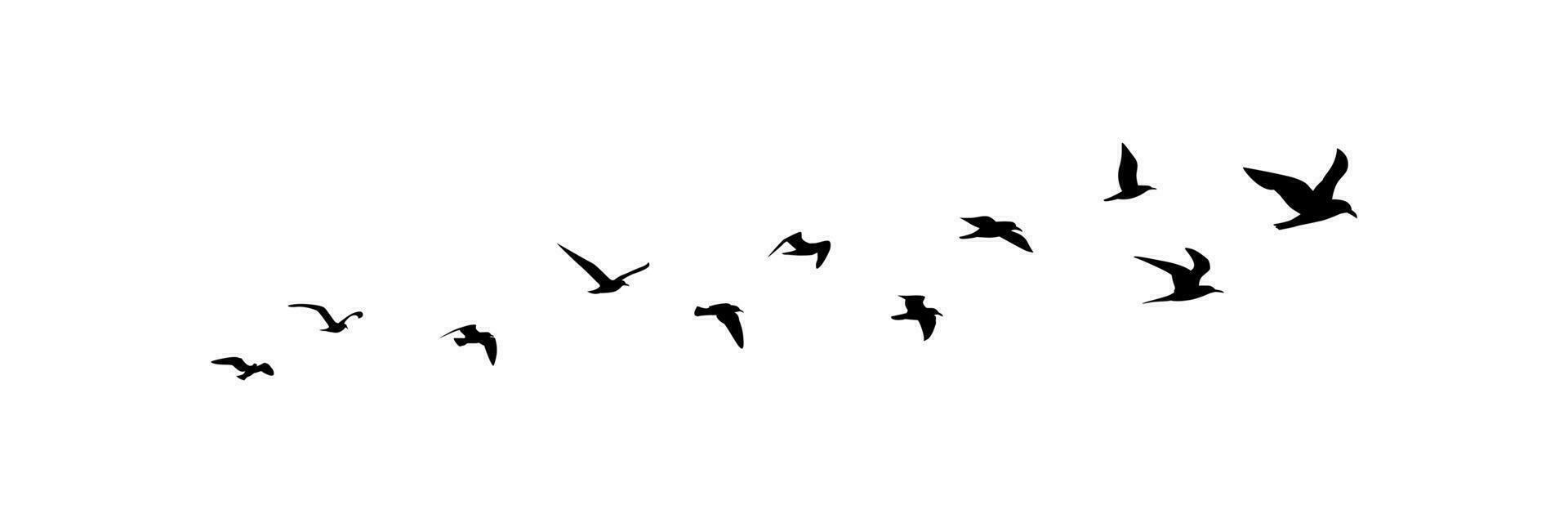 group of flying birds silhouette illustration vector