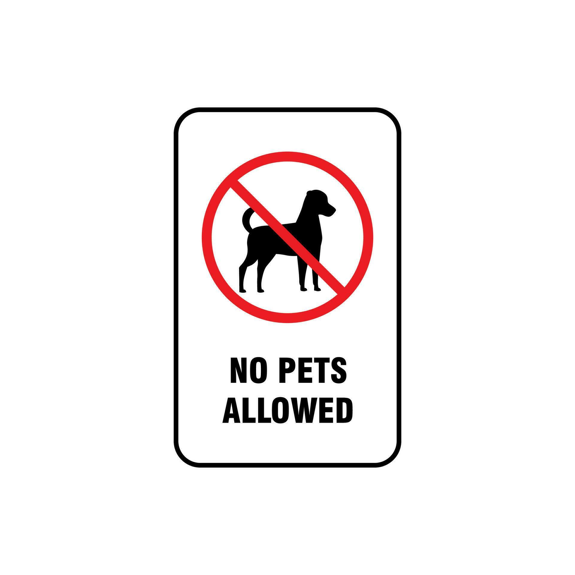 no pets allowed sign illustration design, no pets allowed poster with