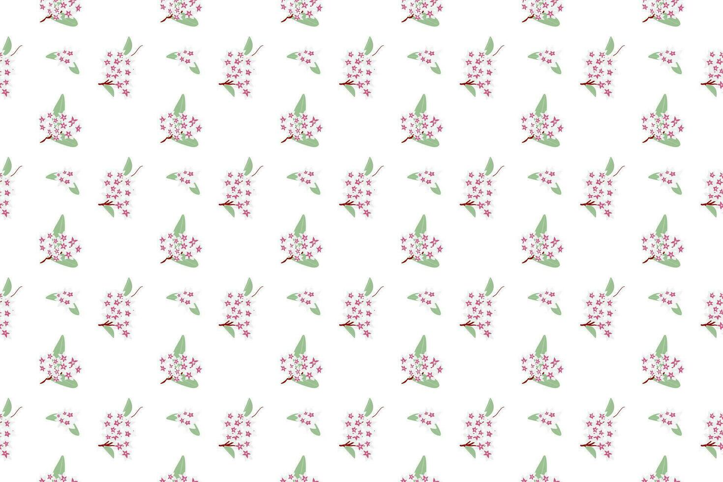 Hoya carnosa flower arrange as seamless pattern background vector
