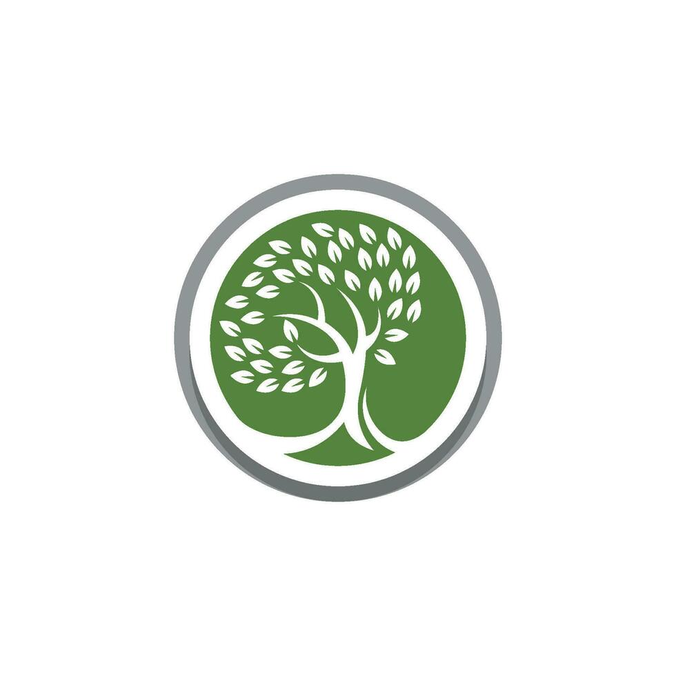 Logos of green Tree leaf ecology vector