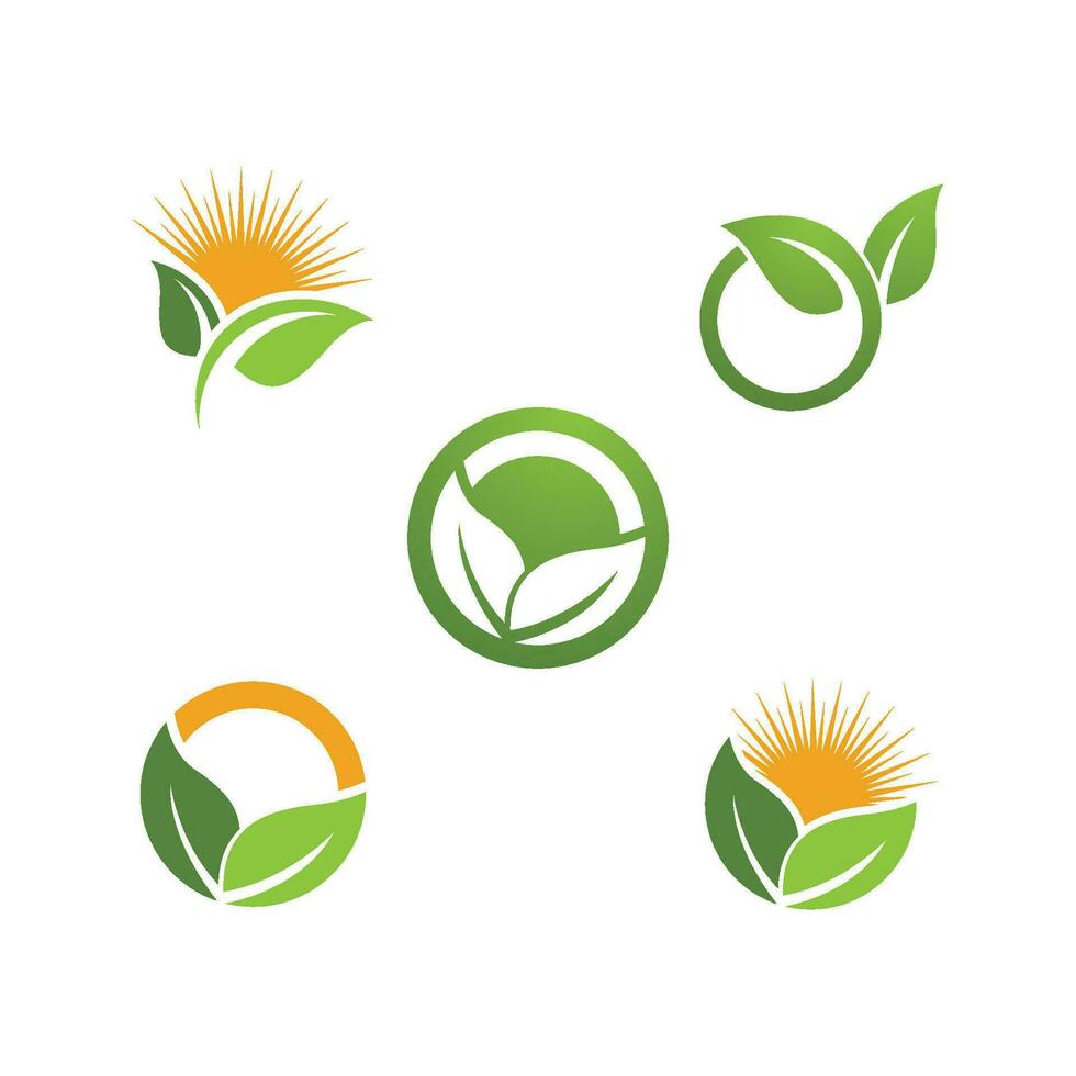 Logos of green Tree leaf ecology vector