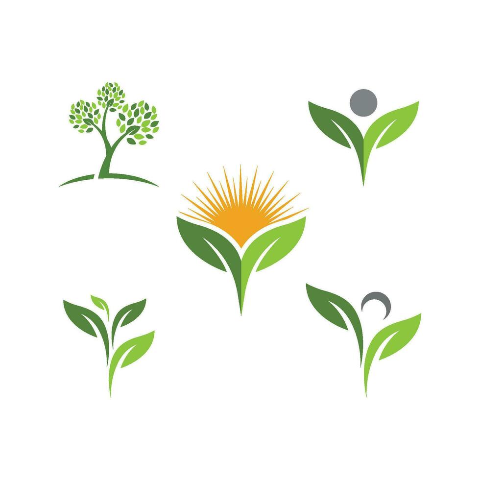 Logos of green Tree leaf ecology vector