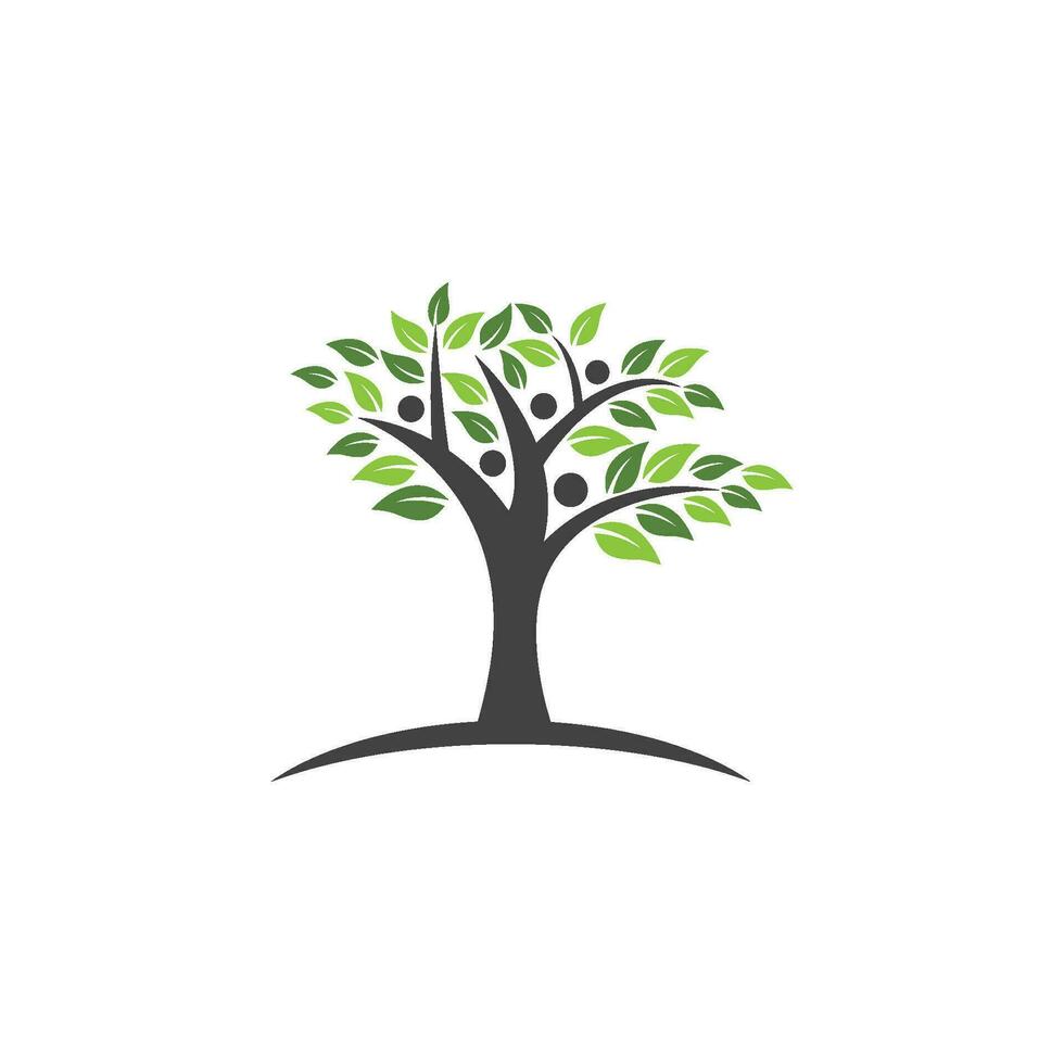 vector de plantilla de logotipo de árbol genealógico