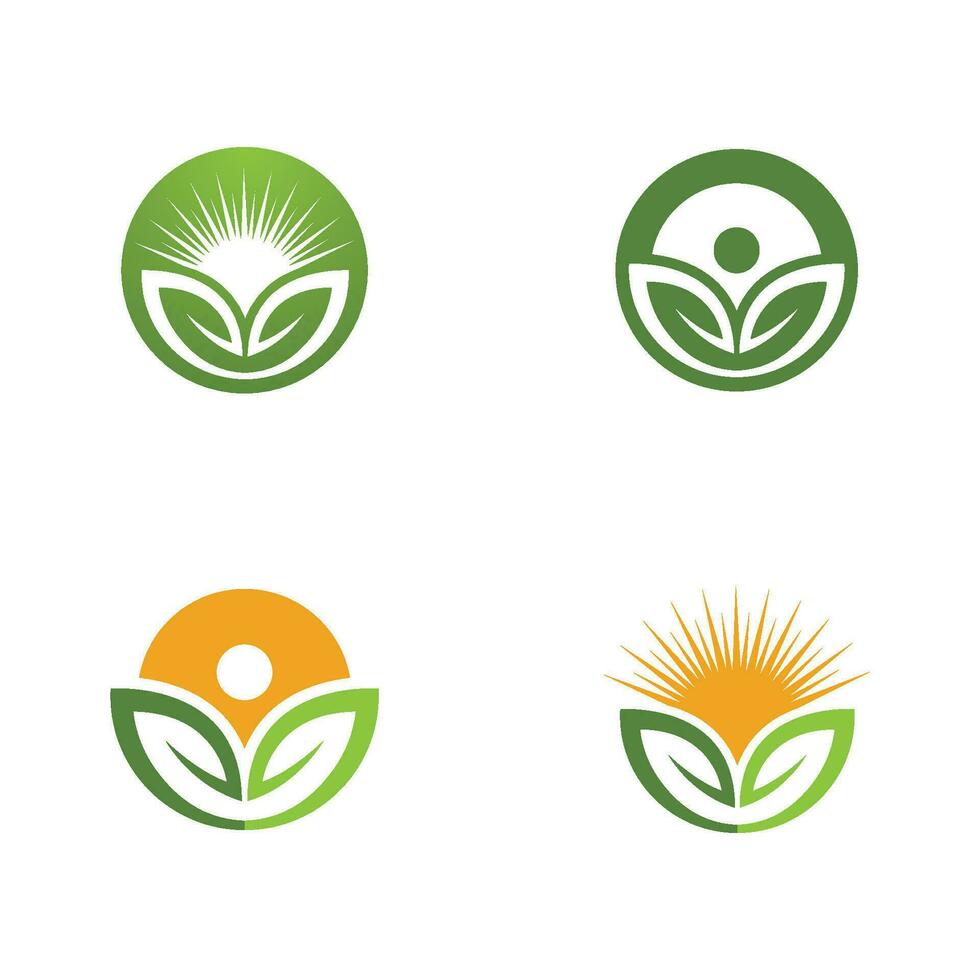 Logos of green Tree leaf ecology vector