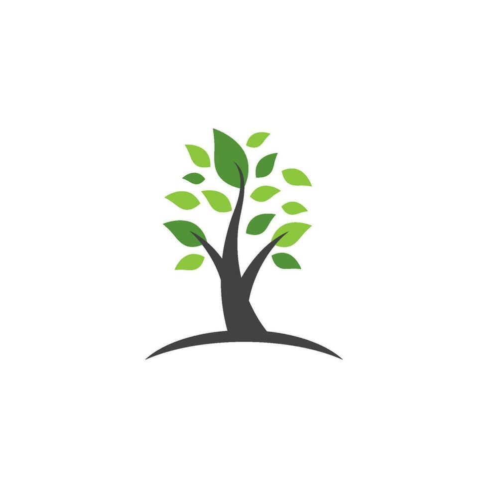 Tree branch vector ilustration design