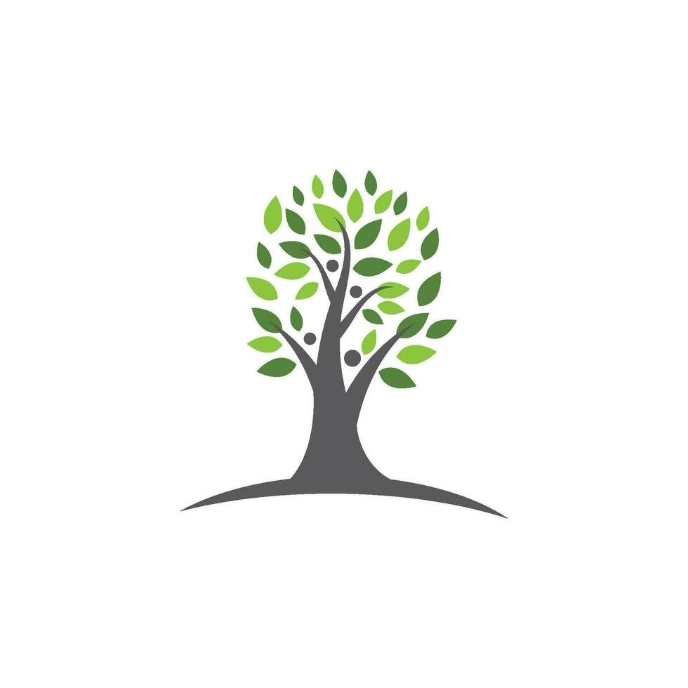 Tree branch vector ilustration design