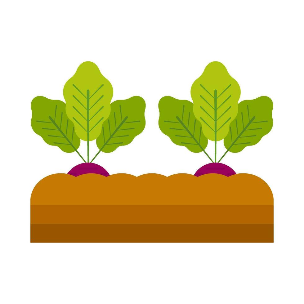 Radish vegetable plant flat illustration vector