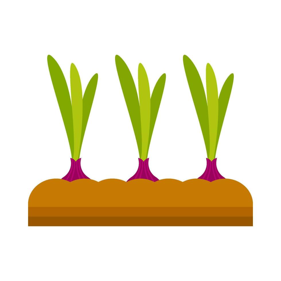 Onion vegetable plant flat illustration vector