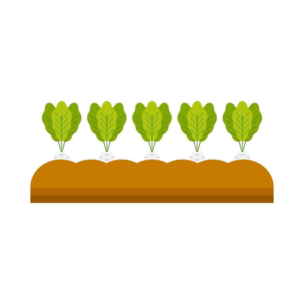 Carrot vegetable plant flat illustration vector