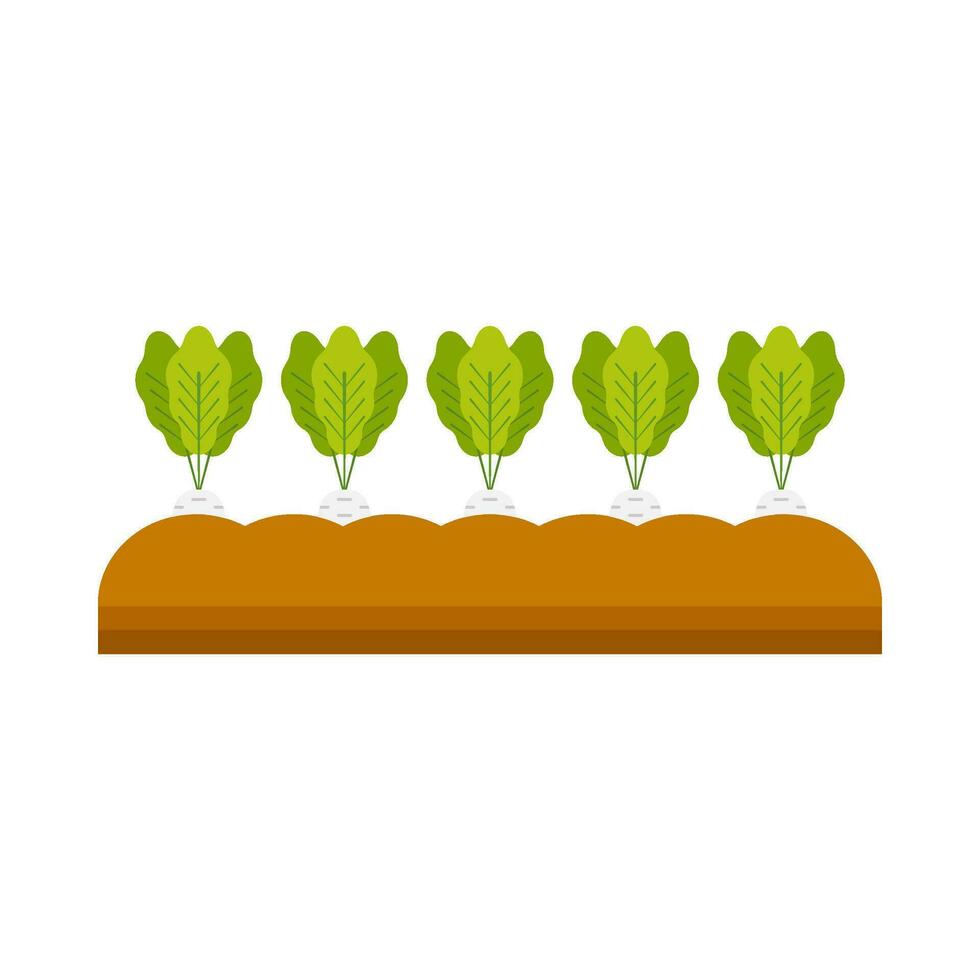 Zanahoria vegetal planta plano ilustración vector