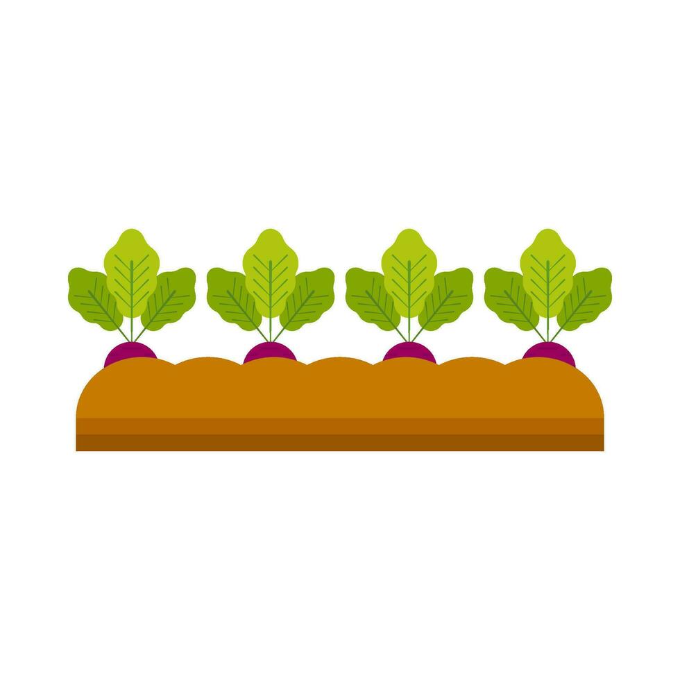 Radish vegetable plant flat illustration vector