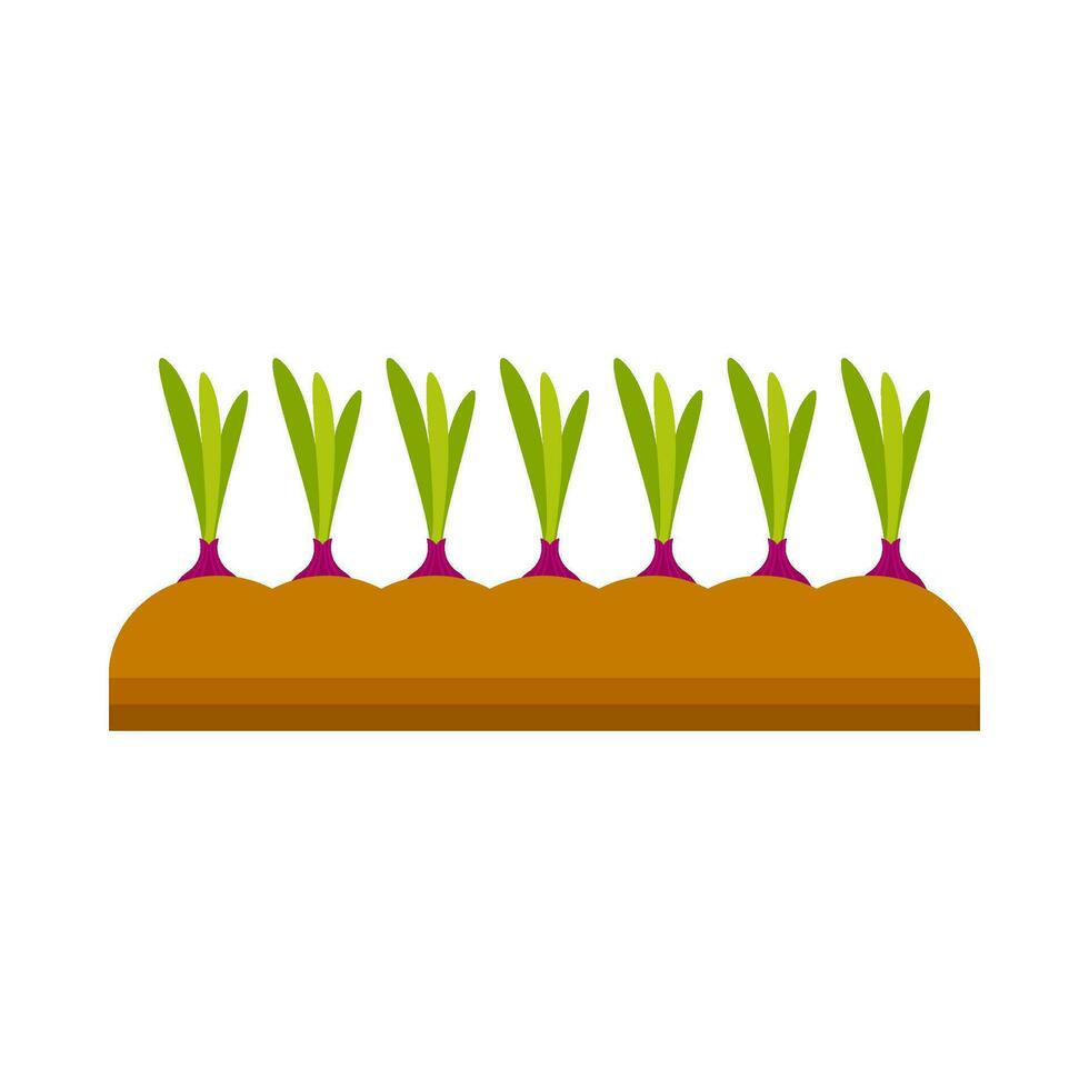 cebolla vegetal planta plano ilustración vector