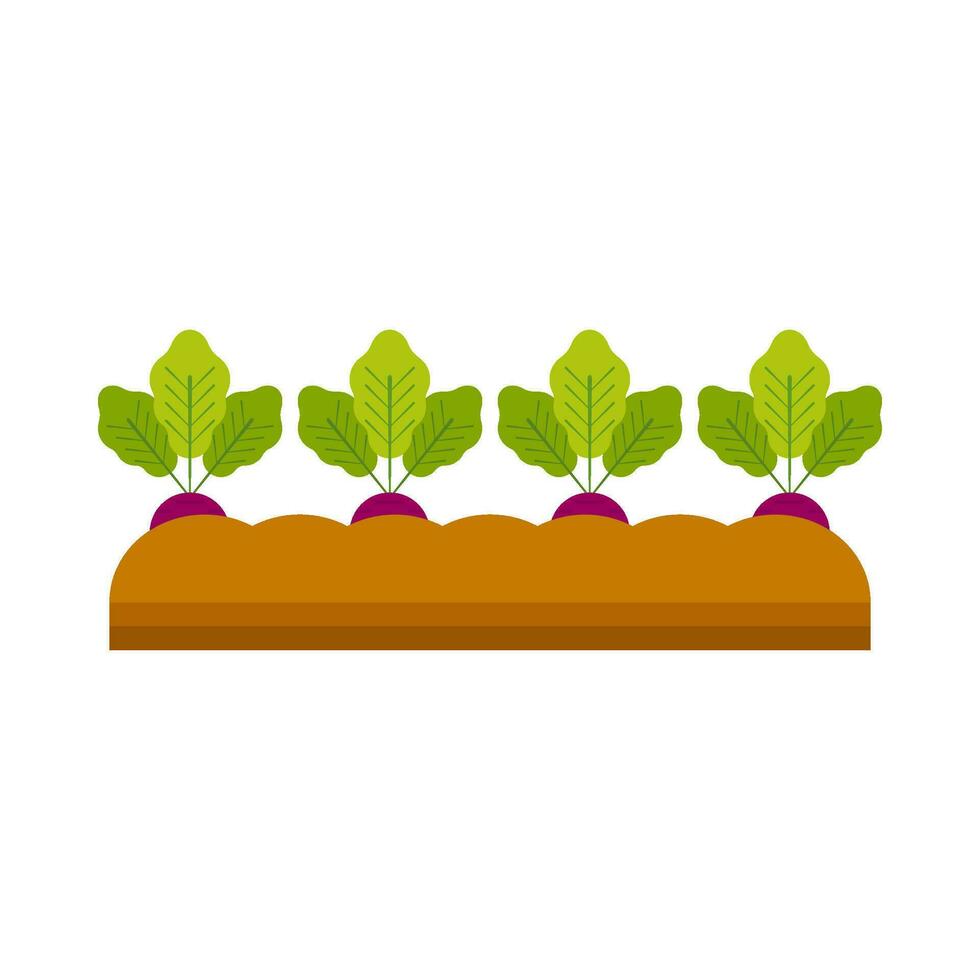 Radish vegetable plant flat illustration vector