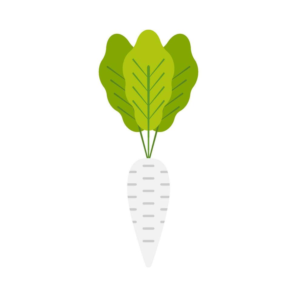 Zanahoria vegetal planta plano ilustración vector