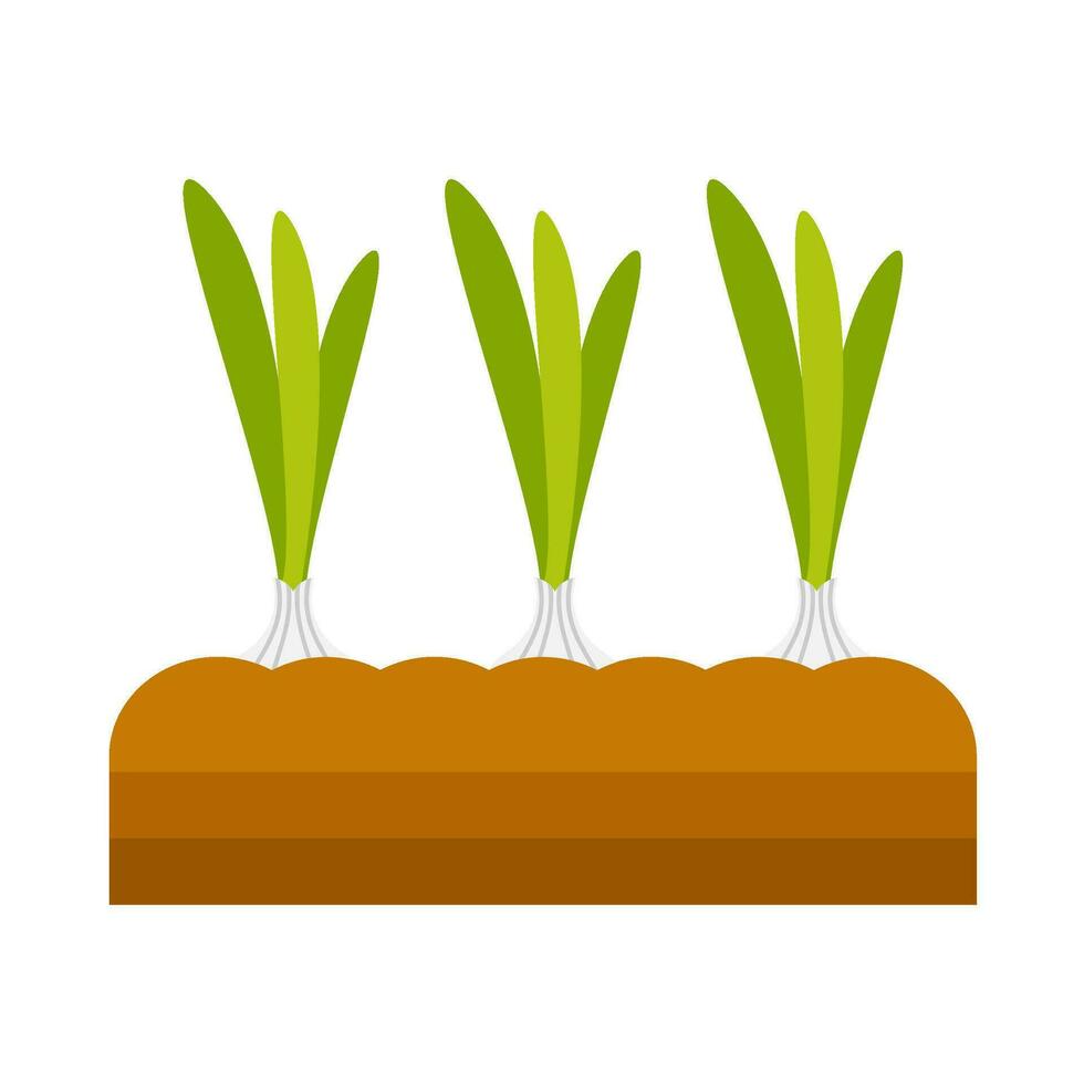 Onion vegetable plant flat illustration vector