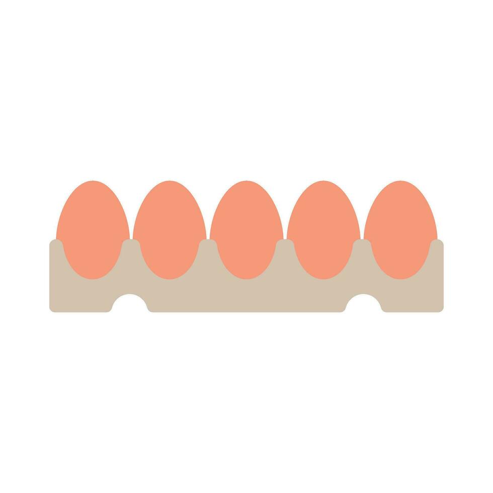 Poultry eggs flat illustration vector