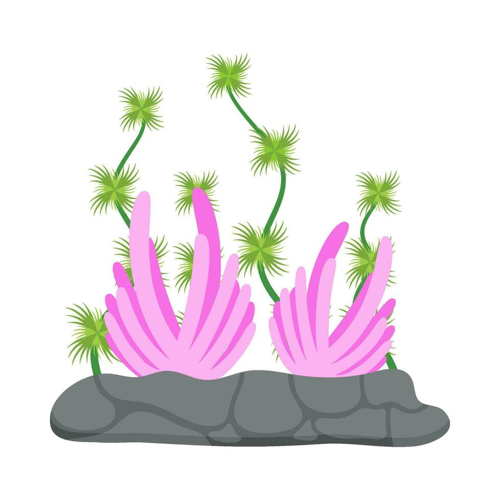 Flat illustration of sea coral reef vector