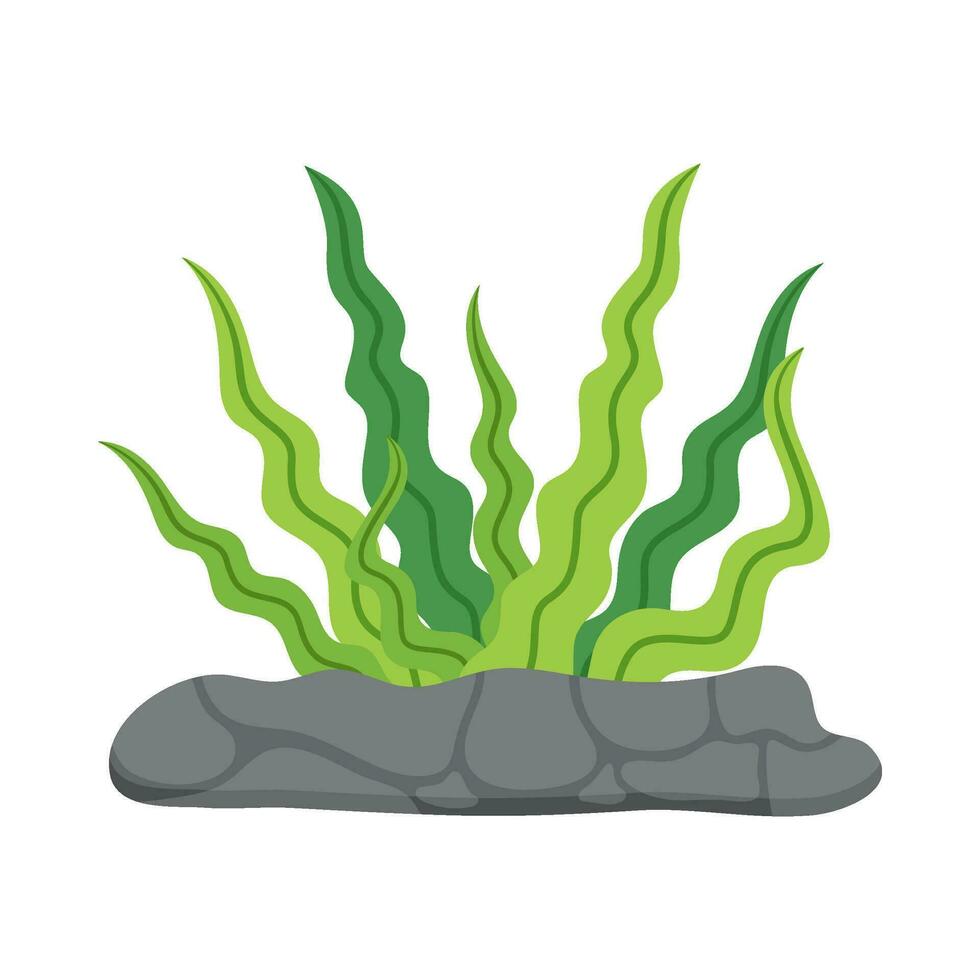 Flat illustration of sea coral reef vector