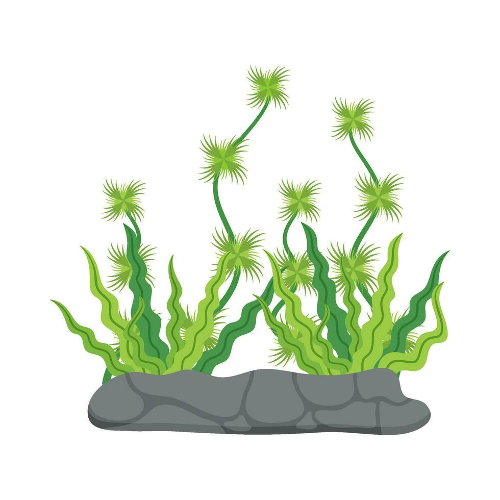 Flat illustration of sea coral reef vector