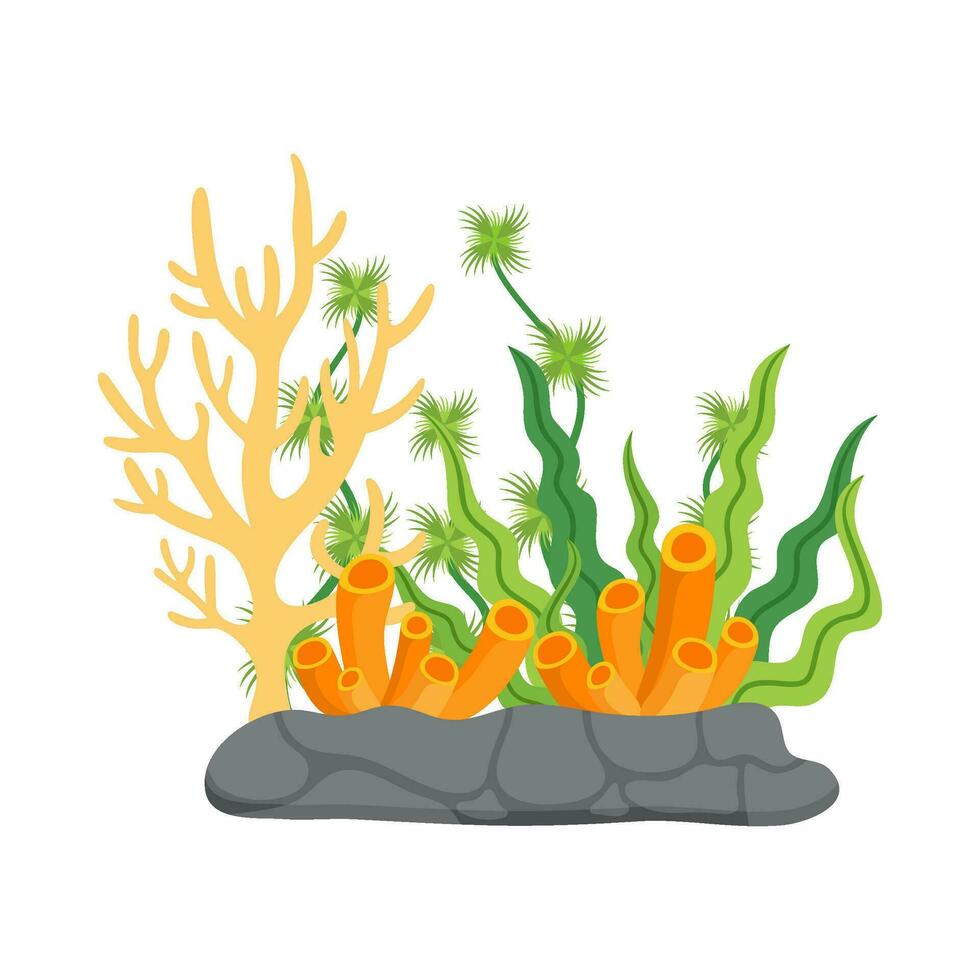 Flat illustration of sea coral reef vector
