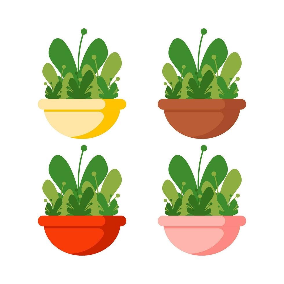 Beautiful ornamental plants flat illustration vector