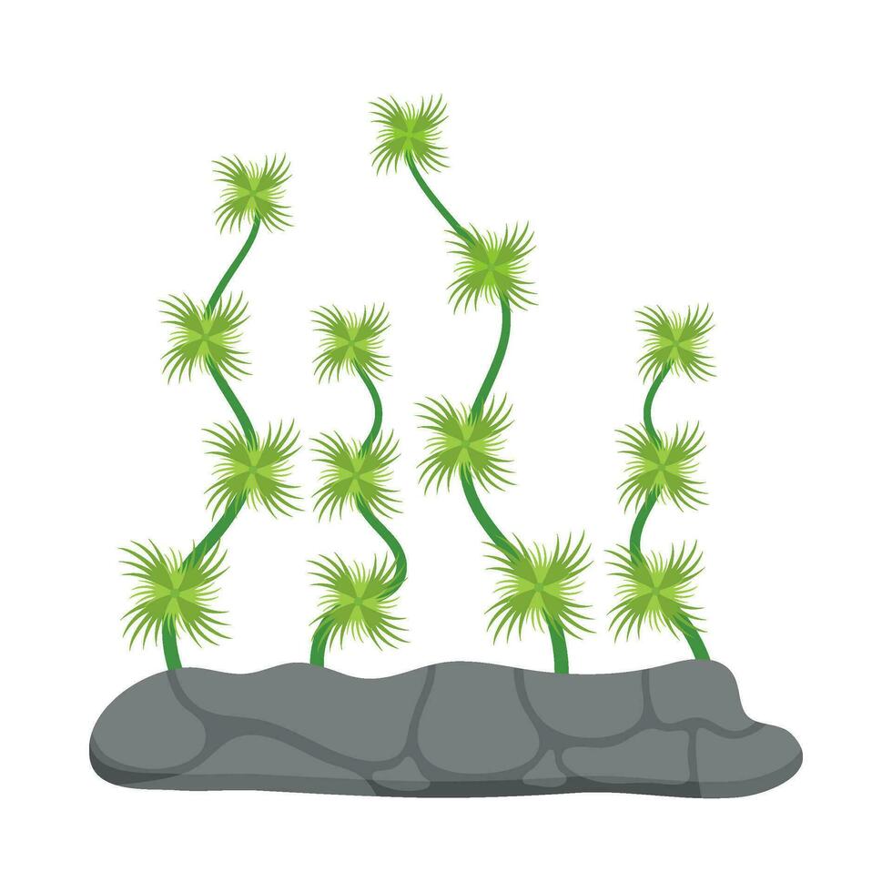 Flat illustration of sea coral reef vector