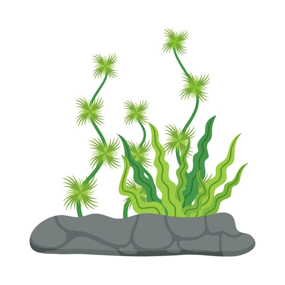 Flat illustration of sea coral reef vector