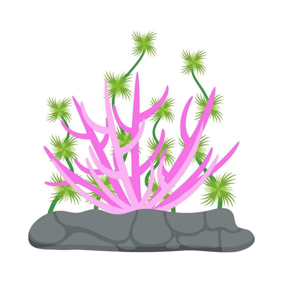 plano ilustración de mar coral arrecife vector