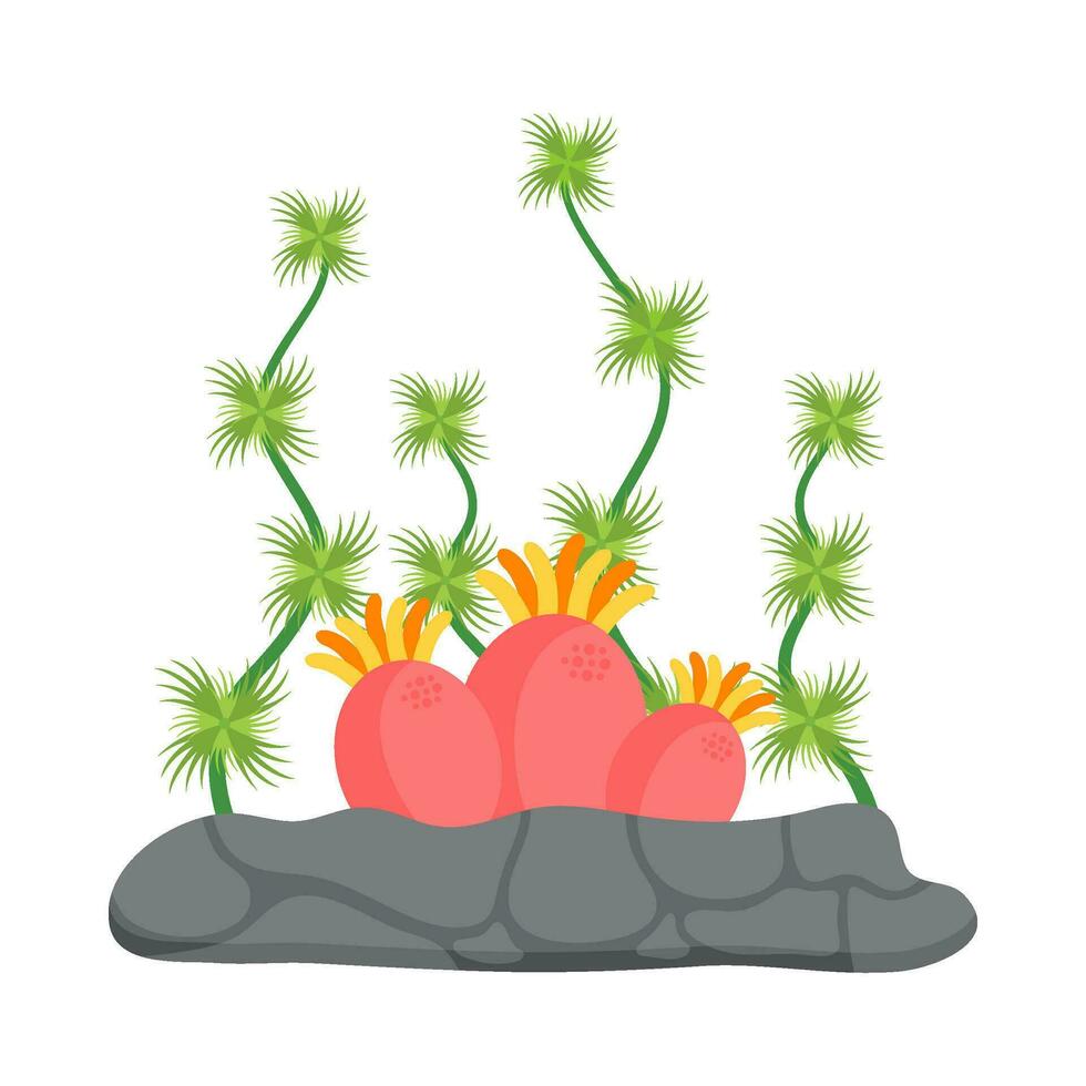 Flat illustration of sea coral reef vector